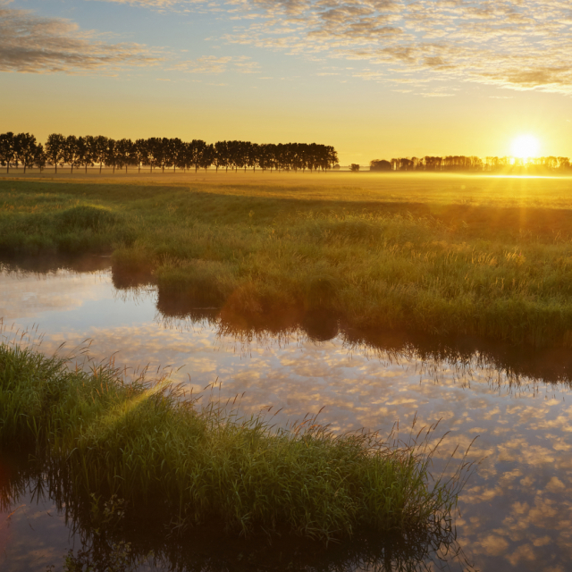 Ontdek de Biesbosch vanuit deze mooie plek aan het water